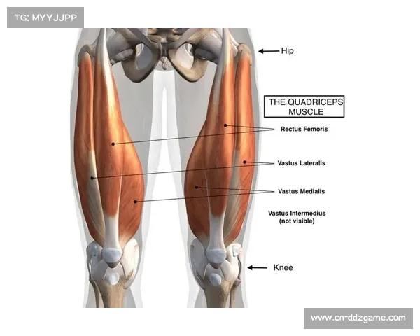 阿诺德左腿股四头肌股直肌损伤,将缺席约两个月错过关键战役